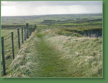 Giants Causeway - Bushmills, Nordirland