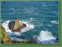 Giants Causeway - Bushmills, Nordirland