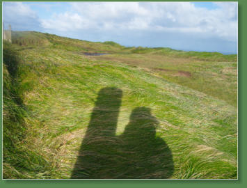 Giants Causeway - Bushmills, Nordirland
