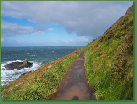 Giants Causeway - Bushmills, Nordirland