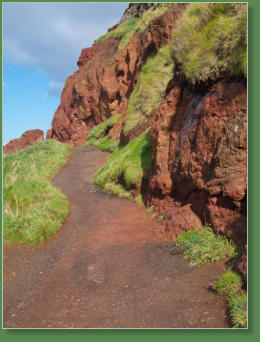Giants Causeway - Bushmills, Nordirland