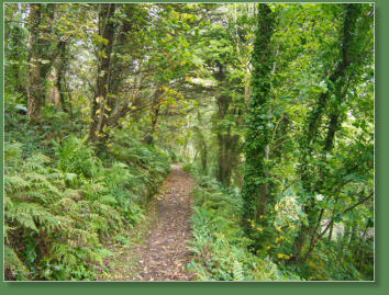 Downhill Demesne, Nordirland