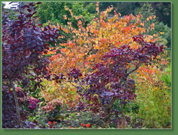 Downhill Demesme - Bishop's Gate, Nordirland