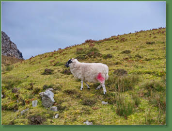 Glen Head Tower Loop, Irland