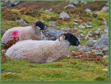Glen Head Tower Loop, Irland