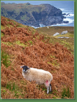 Glen Head Tower Loop, Irland