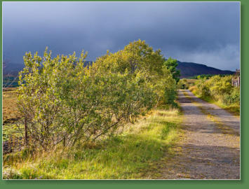 Mitten in Mayo, Irland