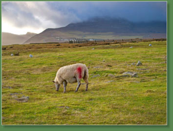 Achill Island, Mayo, Irland