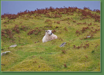 Glen Head Tower Loop, Irland