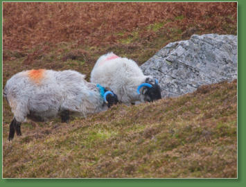 Glen Head Tower Loop, Irland