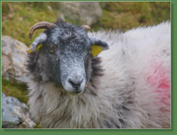 Glen Head Tower Loop, Irland