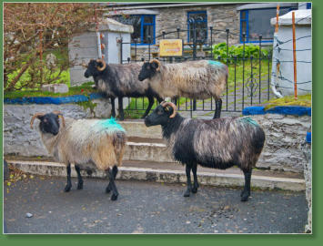 Achill Island, Irland
