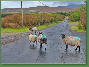 Achill Island, Irland