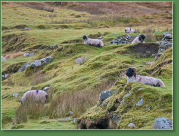 Das verlassene Dorf bei Slievemore - Achill Island, Irland