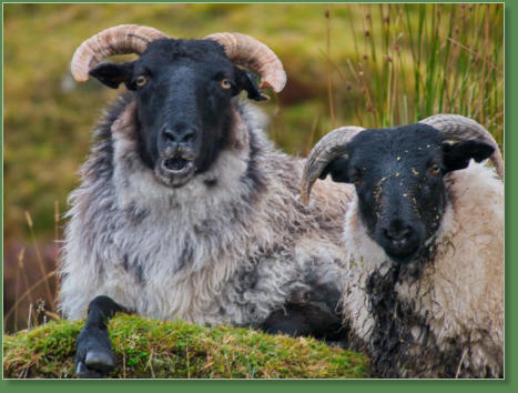 Das verlassene Dorf bei Slievemore - Achill Island, Irland