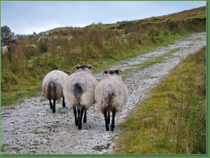 Das verlassene Dorf bei Slievemore - Achill Island, Irland