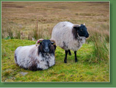 Das verlassene Dorf bei Slievemore - Achill Island, Irland