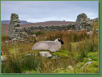 Das verlassene Dorf bei Slievemore - Achill Island, Irland