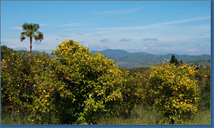 Von Malaga nach Ronda, ES