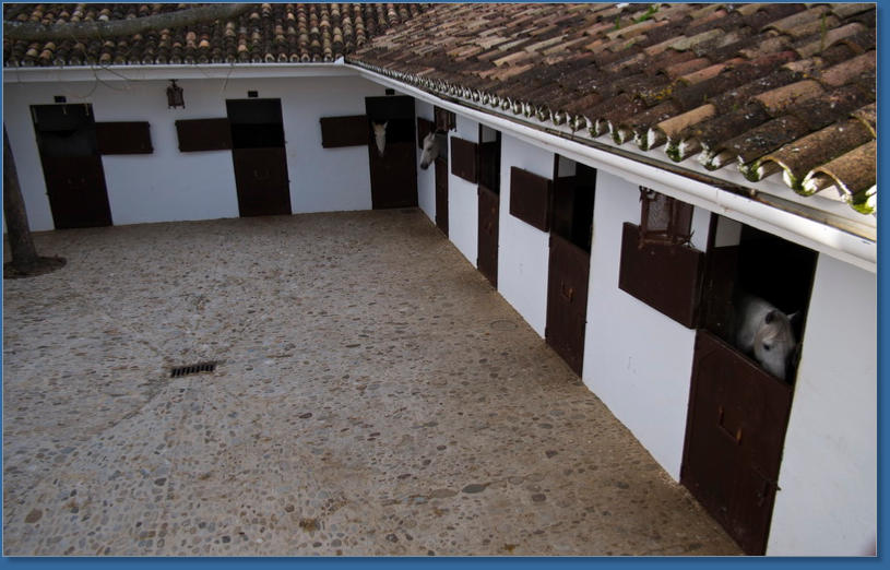 Plaza de Toros de Ronda, Ronda, ES