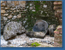 Banos Arabes, Ronda, ES