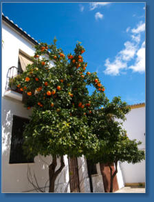 Altstadt - Ronda, ES