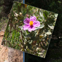 Caminito del Rey, ES
