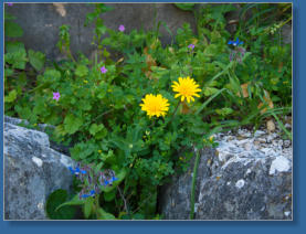 Caminito del Rey, ES