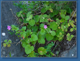 Caminito del Rey, ES