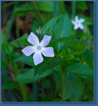 Caminito del Rey, ES