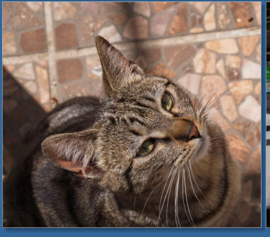 Restaurant entlag der MA 5403, kurz vor El Chorro, Ardales