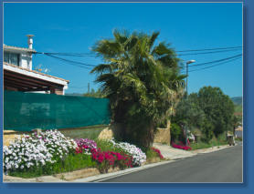 Blütenmeer in Andalusien
