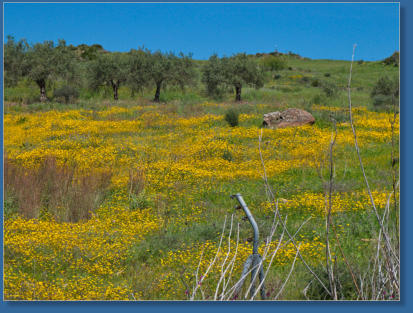 Entlang der A343 nach Antequera, ES