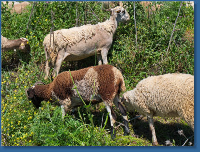 Entlang der A343 nach Antequera, ES