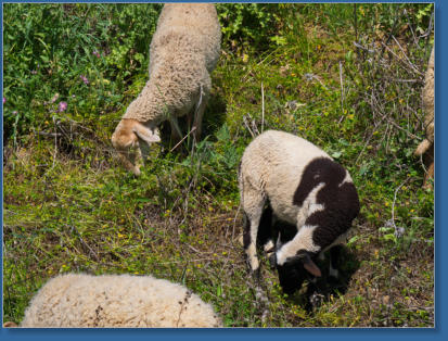 Entlang der A343 nach Antequera, ES