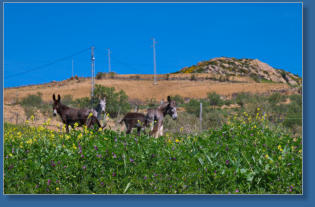 Entlang der A343 nach Antequera, ES