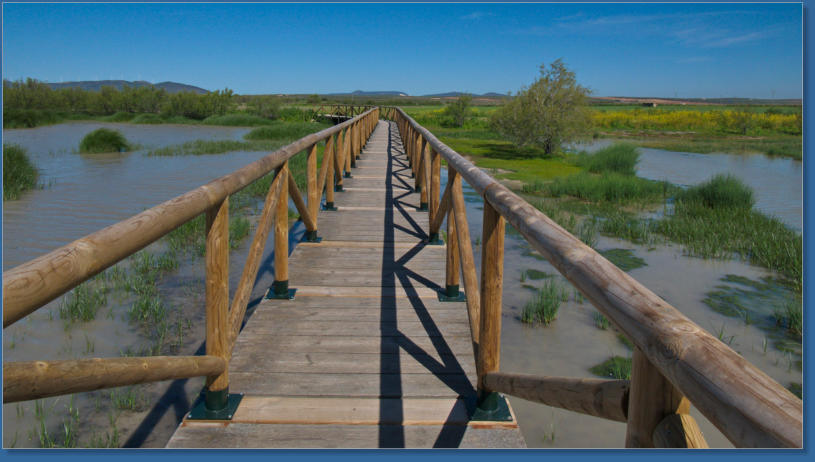 Laguna de Fuente de Piedra, ES
