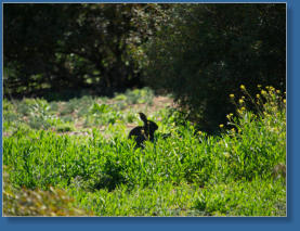 Laguna de Fuente de Piedra, ES
