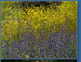 Laguna de Fuente de Piedra, ES