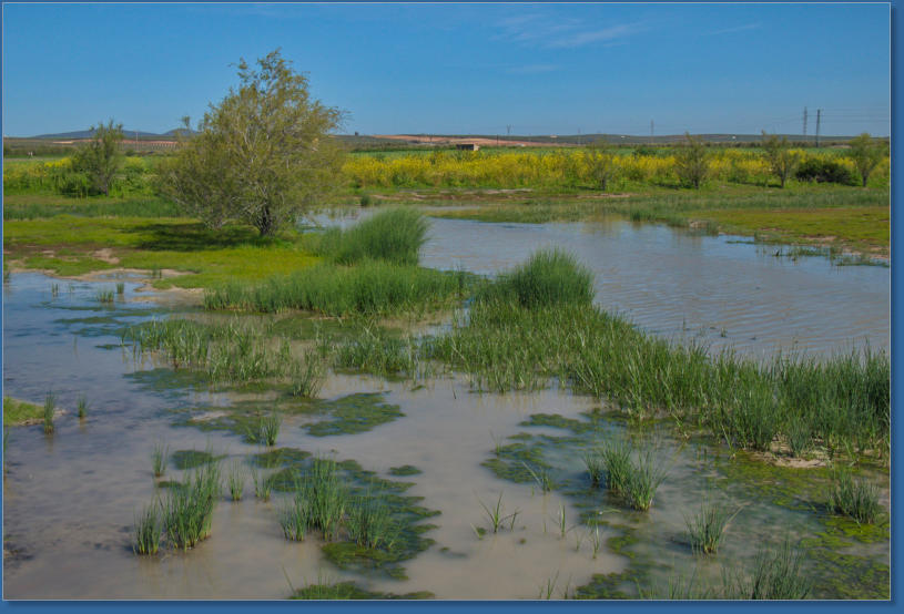 Laguna de Fuente de Piedra, ES