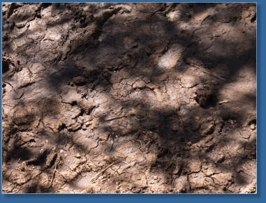 El Torcal, Andalusien, ES