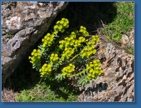 El Torcal, Andalusien, ES