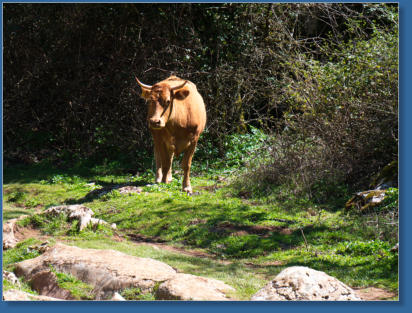 El Torcal, Andalusien, ES