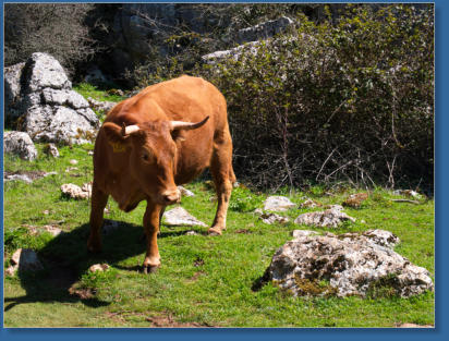 El Torcal, Andalusien, ES