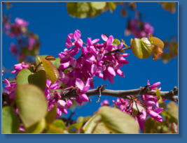 Antequera, Andalusien, Spanien
