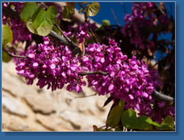 Antequera, Andalusien, Spanien