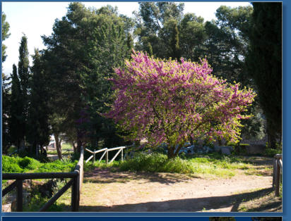 Alcazaba von Antequera, Andalusien, Spanien