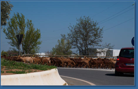 Ausfahrt aus Antequera