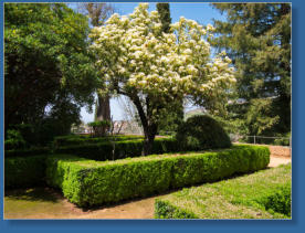 Blick in den Garten des ehemaligen Konvents San Francisco de Alhambra, Granada