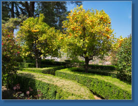 Blick in den Garten des ehemaligen Konvents San Francisco de Alhambra, Granada